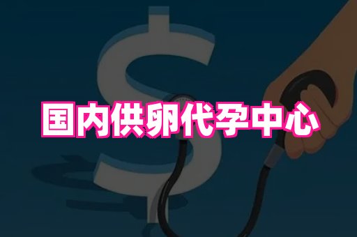 国际助孕网 1