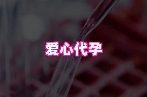 国际助孕网 3