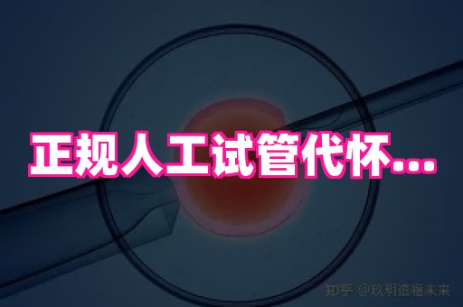 国际助孕网 4